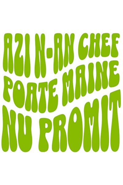 OEM Optical Illusion Sticker - Romanian Text "Azi N-am Chef, Poate Maine Nu P...