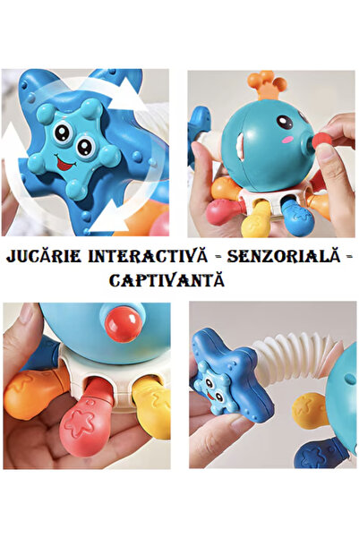 Krista Interactive sensory toy 10 activities for baby Royal Octopus, blue