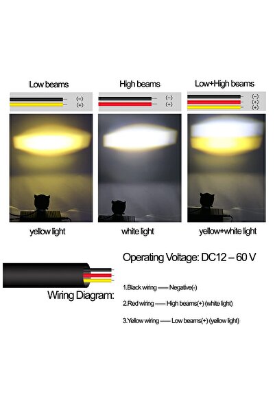 Ruan Car LED projector with 2 PHASE power 30W 6000K owl model