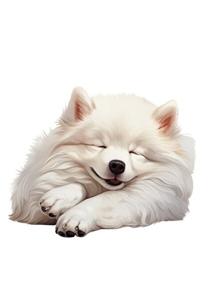 OEM Autocolant cățeluș alb dormind, vinil PVC, bordură albă, 10 cm