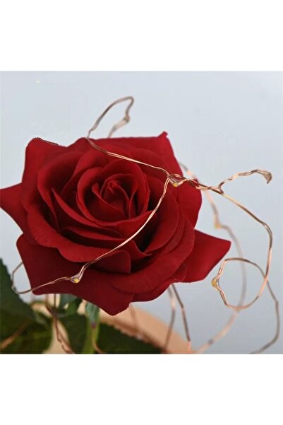 OEM Rose in glass dome, textile, red, with LED light, 21x11x9 cm