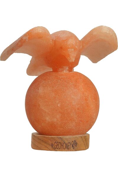 Geohoney Himalayan Salt Lamp - Falcon