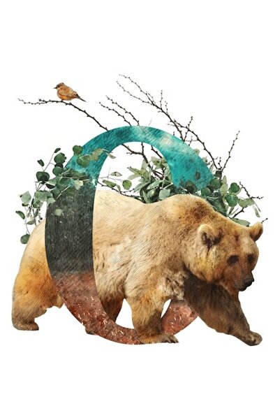 OEM Autocolant Urs, Pasăre, Pădure, Bordură Albă, Vinil PVC 28 cm