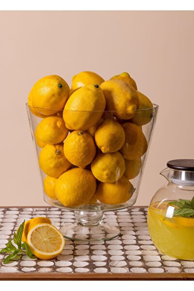 RİVO HOME DECOR Madera Standing Cookie Jar 36x26x25 cm