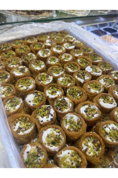 öz vanlılar Kaymaklı bülbül yuvası