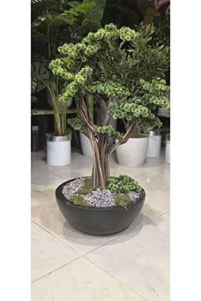 İremÇiçekçilik Yarım Küre Karbonfiber Siyah saksıda Bonsai
