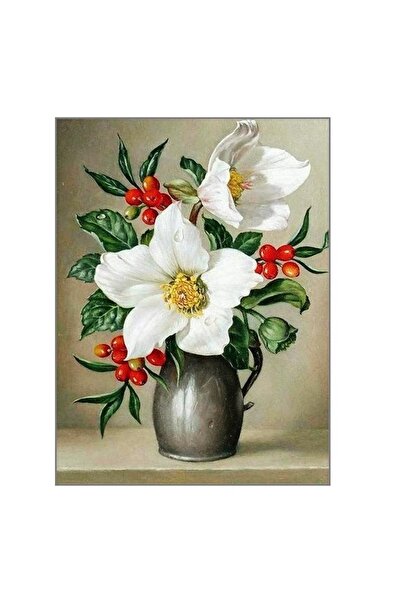 MATTELOT TOYS Set pictura pe numere Flori si fructe de maces, Tablou 20 x 30 cm