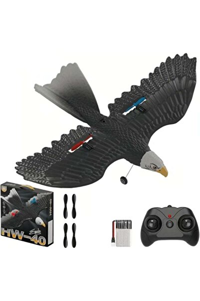 JAJEEK RC Eagle Plane HW-40 – 2.4GHz 2CH RTF Glider with 6-Axis Gyro