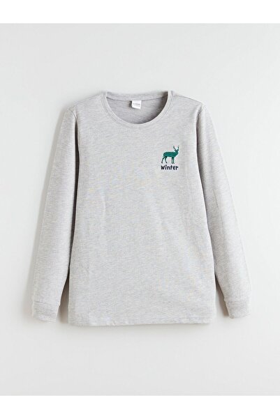 LC Waikiki Lcw Kids Crew Neck Boy Pajamas Set