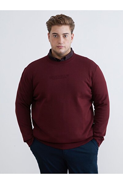 LC Waikiki Crew neck printed men's sweatshirt