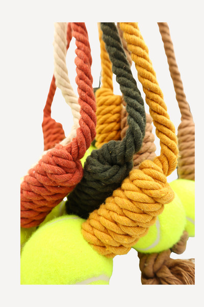 Eva & Wall-e Tennis Ball Bulk Rope Dog Toy |   Durable Pull String Fetch Ball for Medium and Large Breeds