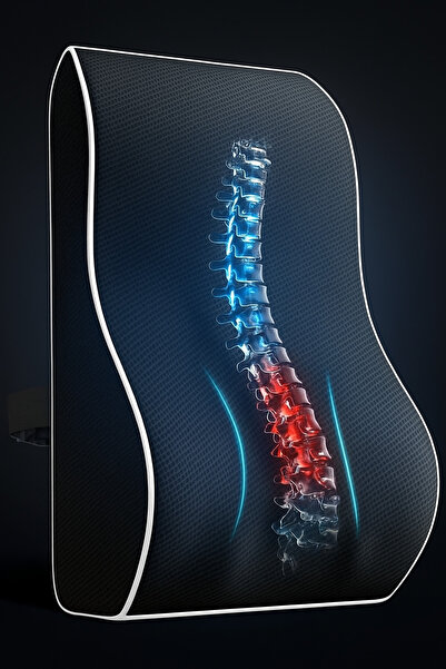 VİSCOMAX وسادة الخصر فيسكو وسادة الظهر وسادة قطنية لتقويم العظام 100% وسادة د...