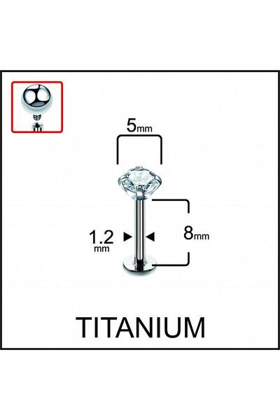 Rupen Kraft %100 G23 Titanyum Zirkon Tek Taşlı Pırlanta Model Kıkırdak Conch ...