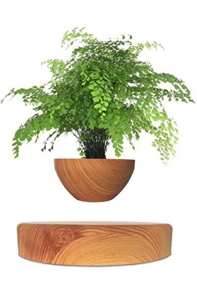 Generic Magnetic Floating Plant Pot with Wooden Base