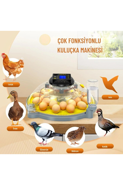 Evo-UFO-48 | 48 Yumurtalık UFO Model Otomatik Kuluçka Makinesi