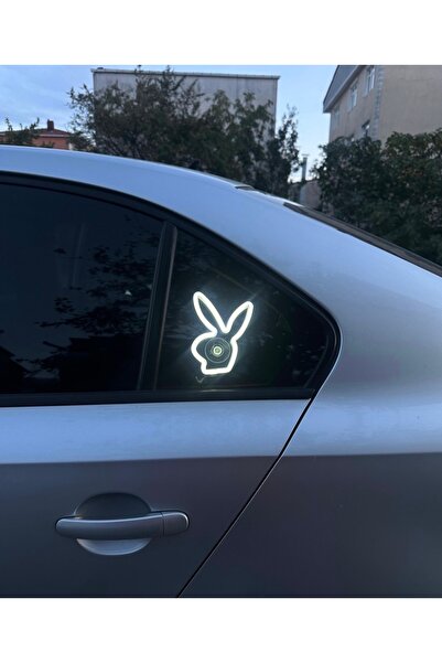 3dbaydesign Car Interior Neon Led Light Decoration Playboy (White with 12 Vol...