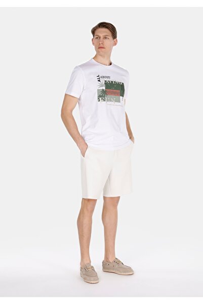 Colin's Regular Fit Mid Waist Plain Men's Stone Shorts