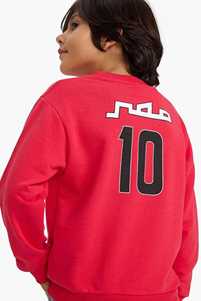 DeFacto Boy's Crew Neck Back Printed Sweatshirt G4820A825Wn