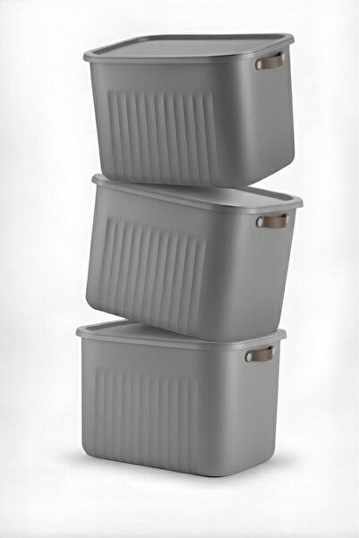 Bayev 3 Pieces Gray 20 Lt Boxsis Set Mega Size Multi-Purpose Box with Lid Closet Organizer Organizer-Hobby Box