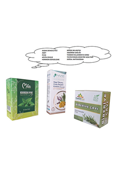 NVC HAYIT TOHUMU - CİVAN PERÇEMİ - KIRKKİLİT EKSTRAT 250 ML & KIVIRCIK NANE Ç...