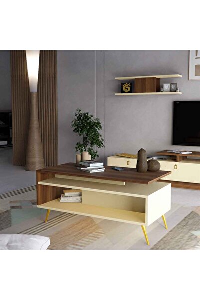 Stylish Home Brown and Beige TV Stand and Coffee Table Set - SH01