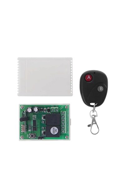 OEM Remote control + 2-channel mini receiver