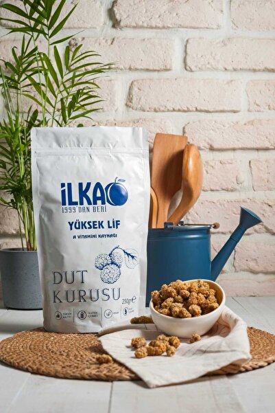 ilkagıda توت مجفف طبيعي 250 جرام - خالٍ من المواد المضافة، مصدر للطاقة، وجبة ...