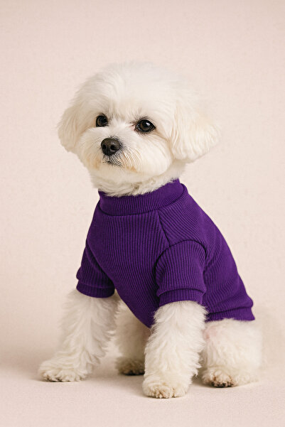 GedyCo Purple Small Breed Dog Stretch Fabric Knitwear