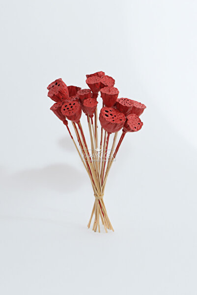 Yapay Çiçek Deposu Dried Flower 20Pcs Mini Lotus 28 cm Red