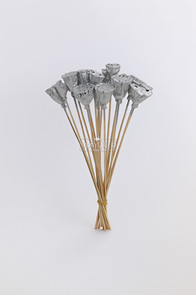 Yapay Çiçek Deposu Сушени цветя 20 мини лотоса 28 см сребро