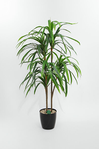 Yapay Çiçek Deposu Yapay Ağaç 5li Lüx Dracaena 145 cm Yeşil
