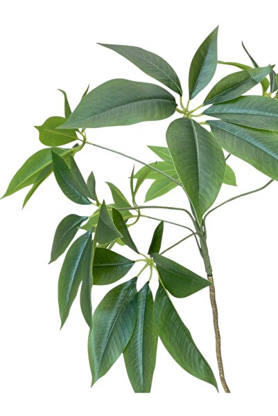 Casco Artificial schefflera plant, 200 cm tall, with an elegant round pot.