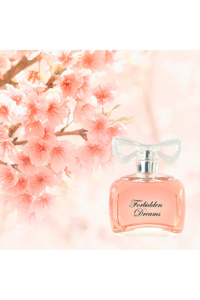 Sistelle Paris Forbiden Dreams EDP 100ml pentru femei