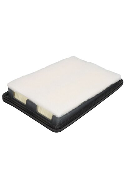 Mann-Filter Air Filter Renault Kadjar, Koleos II C 26 280