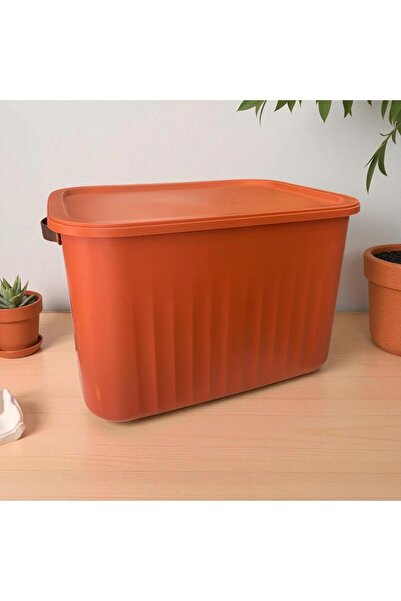 Online Home Market Boxsis Mix 10, 15 and 20 Lt Multi-Purpose Organizer Box with Lid – Decorative Storage Box