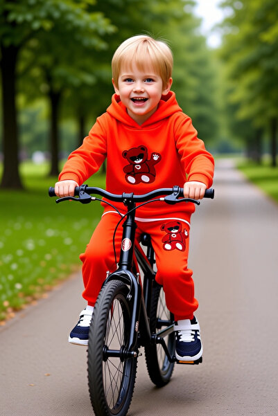 PayBuy Boy's Teddy Bear Printed Hooded Sports Suit Quality Stylish Comfortable Casual