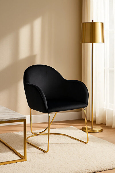 MARIA HOMES Luxury Black Velvet Accent Chair with Gold Metal Legs, Modern Upholstered Armchair for Home & Office