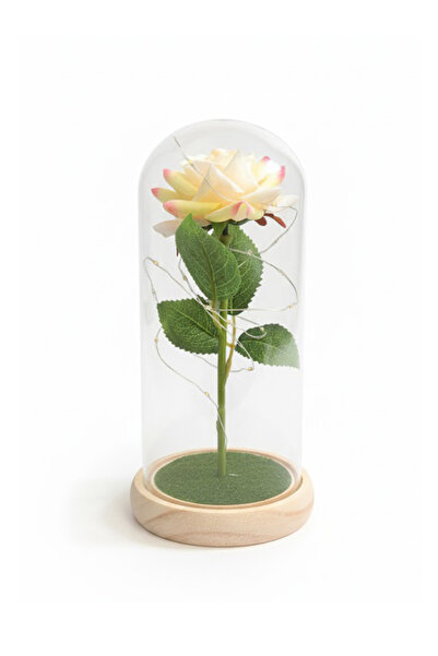 OEM Eternal Rose in Glass Multicolor EternaBloom LED