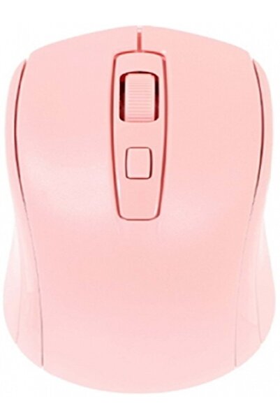 RAYNOX RX-M202 Kablosuz Mouse