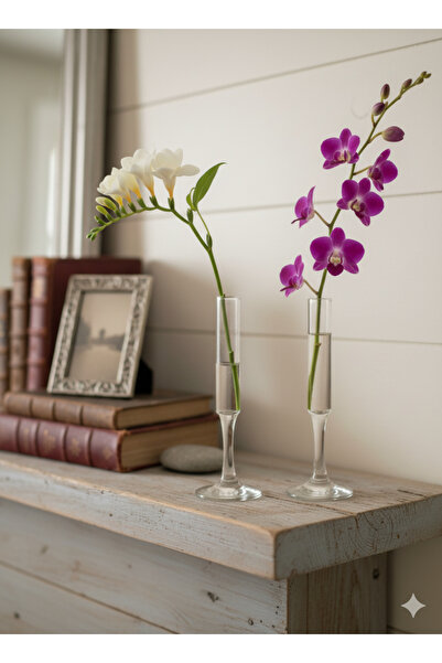 AYZ HOME Tube Glass Minimal Vase 2 Pcs