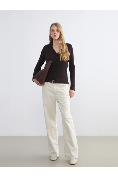 LC Waikiki Lcwaikiki Classic Brown Polo Neck Women's Knitwear Cardigan