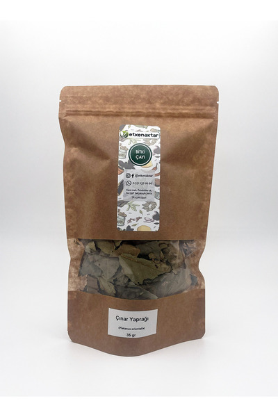 etken ورق شجر الصفصاف 35 جرام