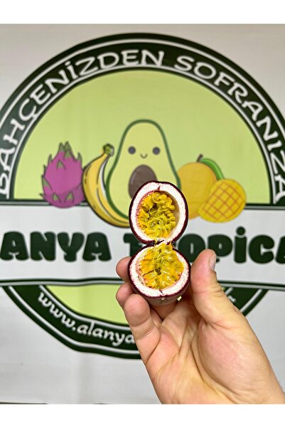 Alanyatropikal PASİFLORA ÇARKIFELEK MEYVESİ(3 adet)