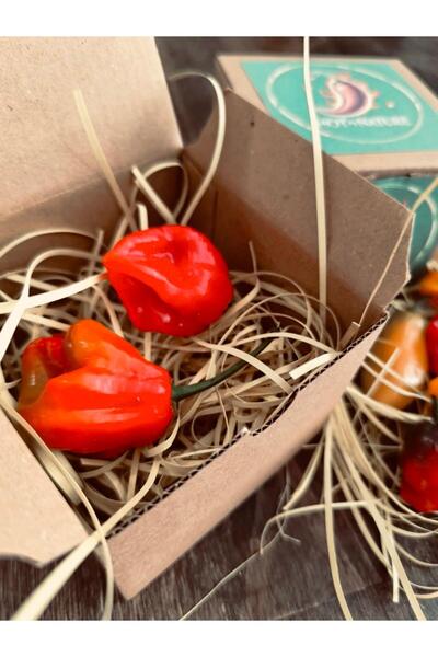 HotByNature GHOST PEPPER & BHUT JOLOKİA / 1 Milyon Scoville - Gerçek Taze Acı Biber