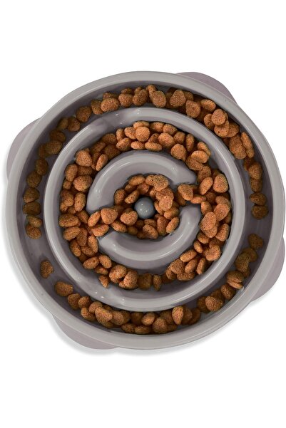 Outward Hound وعاء تغذية الكلاب البطيء من فن فيدرز، متوسط/صغير، برتقالي/رمادي