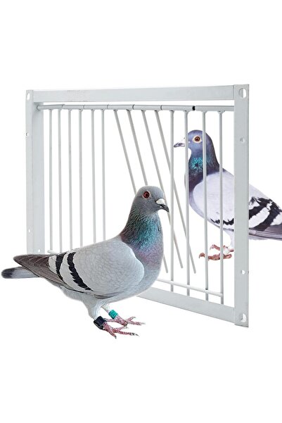genernic Pigeon Cage Door 11.8in (30cm) T-shaped One-way Iron Wire Trap Entrance for Birds and Pigeons - Sesy