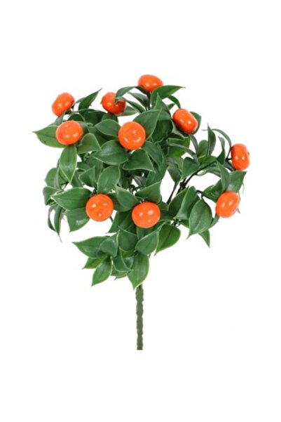 BC Mandalina buketi canlı renkli mutfak süsleme mandalina