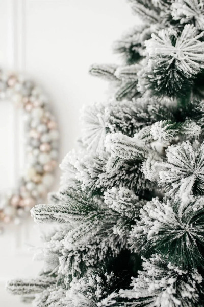 ChristmasExpress Artificial ALPINE fir tree with snow, 250cm, PE + PVC