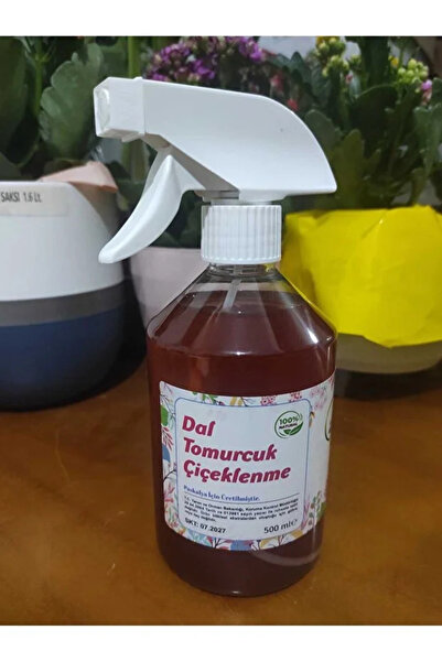 Florasoil Çiçek Coşturan Sıvı Bitki Besini En İyi Çiçek Açtıran ve Tomurcuk Yapan Besin- 500 ml Sıvı Gübre