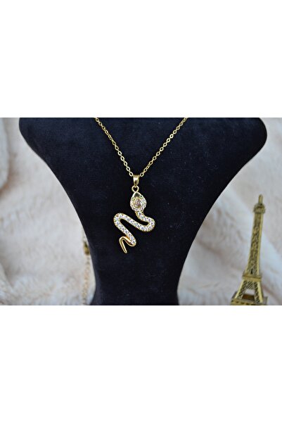 Stainlless Steel قلادات فاخرة من الفولاذ